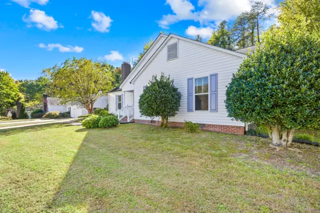 Side yard with mature holly trees