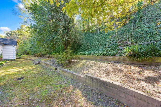 Wooded backyard with terraced beds