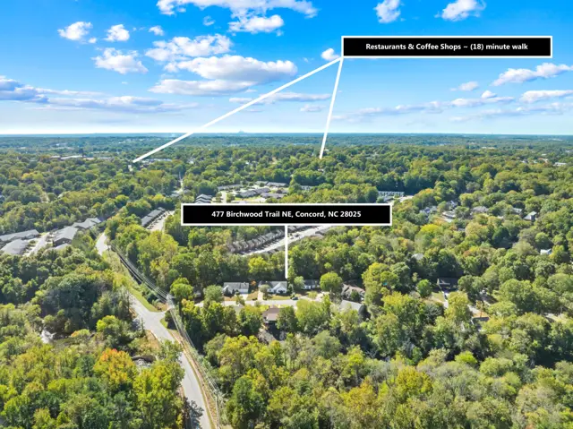 Aerial view of the neighborhood